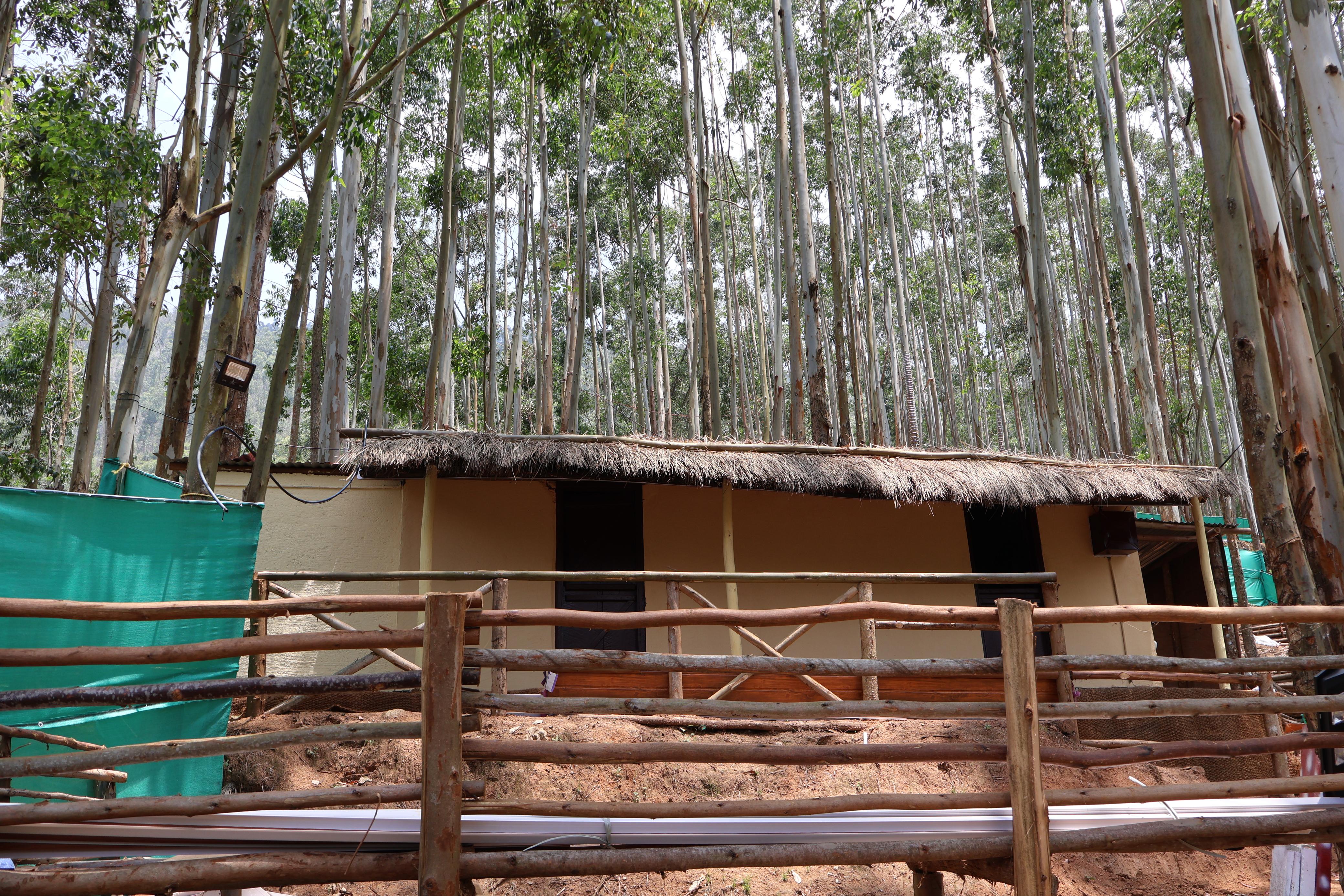Mud House (Family: 2 Adults, 1 Child)